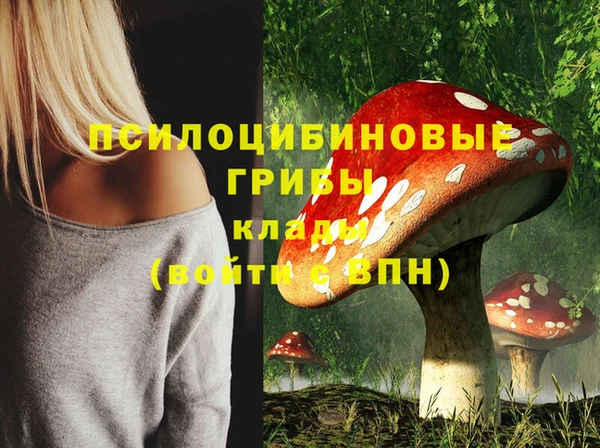 spice Киреевск