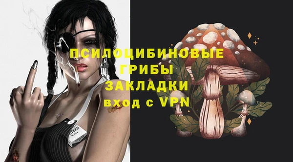 spice Киреевск